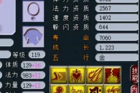 梦幻西游：云游道人买到“观照万象”兽决，主播求看一眼给五百图片