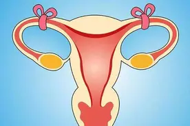 女性结扎复通术后，怀孕概率有多大？想要二胎的夫妻，不妨一看图片
