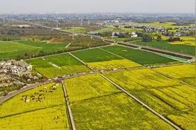 “Dou”友，“抖”赢了图片