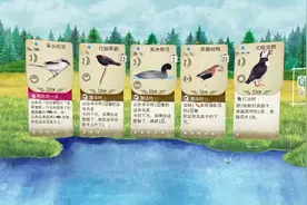 打鸟还是打牌？玩卡牌还带科普？这款神作级桌游收获91%高好评图片