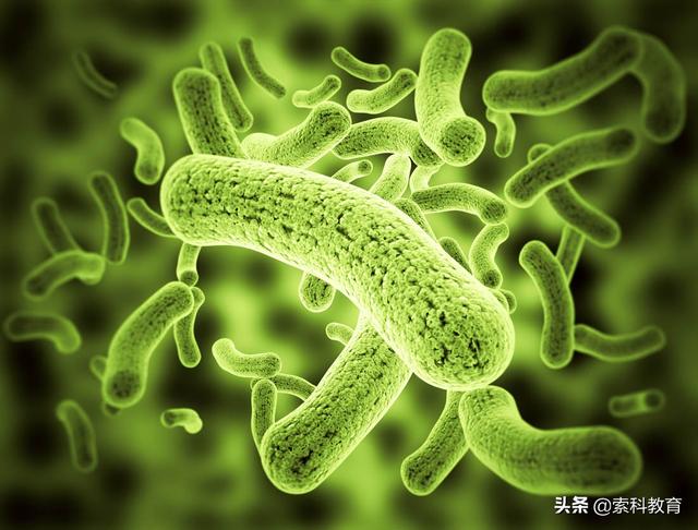 史上最全的高中生物知识点，一定要看