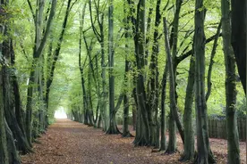 当你梦见男人，也说明他在想你？心理学家告诉你真相图片