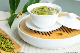 龙井茶如何冲泡？记准“冲泡5要点”，做错茶多贵，也品不出香味图片