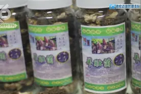 羊肚菌也会有毒？这群人真的坏透了图片
