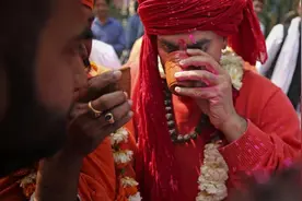 印度：牛粪牛尿治疗新冠正式进入临床试验阶段图片