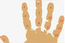 手指计数法图片