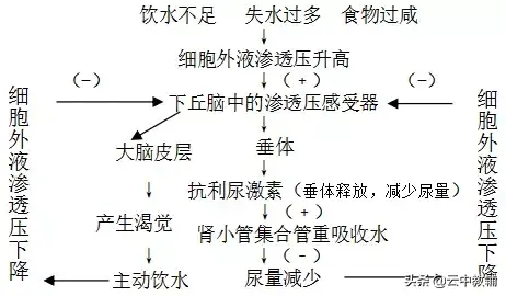 高中生物必修三知识点总结