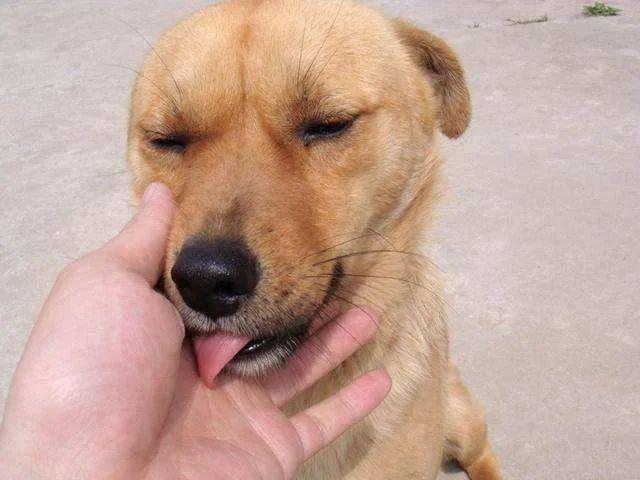 ֹǵļͥ˶͵ֵ