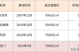 拿地价7900元/㎡，攀成钢再出新盘，热度能否赶超仁恒滨河湾？图片