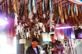 立冬前后，遇到这6种海鱼多买点，做成鱼干囤起来，冬天吃特下饭图片