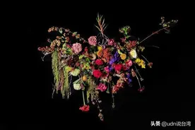 美不该存在规则！台湾花艺家凌宗涌：人生如花，花开花谢自有时图片