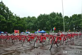 杭州新增2000辆亲子小红车！手机绑卡免押金，还能租两辆车！图片