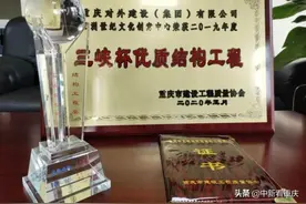 重庆外建集团五洲世纪文化创意中心项目获“三峡杯”优质结构工程奖图片