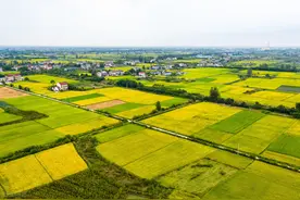 湖北省仙桃市的历史发展变化图片