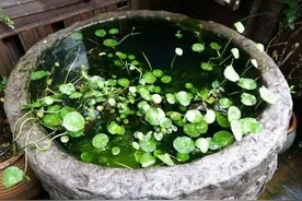 古人训“穷走水则散，富涉淫则衰”，何谓“走水”？古人经验之谈图片