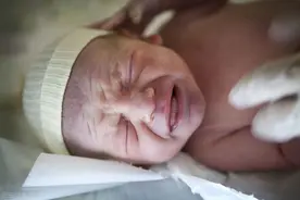 新手爸妈要知道的 新生婴儿有哪些生理特征图片