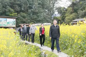 全国人大代表朱虹履职记：完善疫后帮扶机制 助文旅企业开新局图片