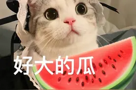 表情包：被你封印了图片