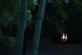 散文：听，夏之音图片
