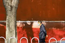 让全国人民羡慕的“广东少跑腿”，背后是这样的数字化布局图片