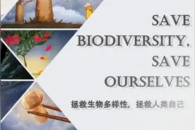漫话天下丨拯救生物多样性，拯救人类自己图片