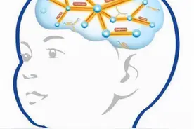 宝宝脑发育迟缓？这些行为就是在预警图片
