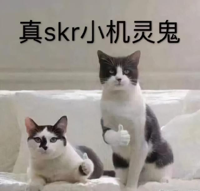 “即使爸爸再忙，也会抽空看美女。”看了娃造的句我笑到打鸣