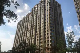 千万别错过！2020年青岛人才公寓今天可以个人申请了图片