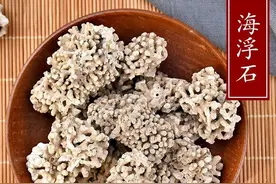 中药古今研究：浮海石（海浮石）图片