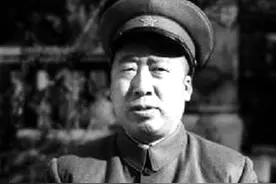 平江起义的四大领导人，仅彭总当了元帅，其他三人为何没有军衔？图片