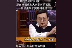 歌坛天后也曾经是“山寨货”？那英：我追过的男人都很优秀图片