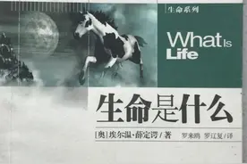 我对未来的思考（五）熵增序减图片