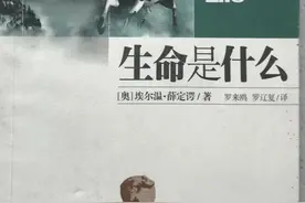 我对未来的思考（五）熵增序减图片