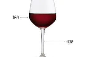 你需要知道的葡萄酒知识都在这里了（酒杯篇）图片
