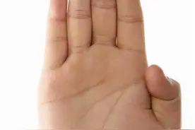 “掌中三样纹，荣华富贵陈”是什么意思？老祖宗的识人术准吗？图片