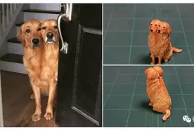 这样的手办才好玩，不要那么正经，很有创意哦图片