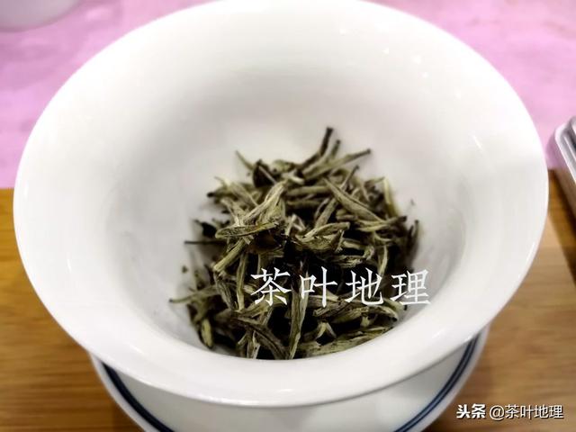 了解这些细节，人人都能泡好白茶！
