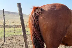 每天凌晨4点起床，只为拍摄乌兰布统每年仅有15天的绝美秋景图片