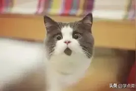 老外说“count to ten”不是“数到十”！理解错了真的很尴尬图片