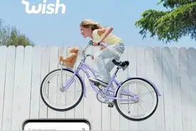 美版“拼多多”--“Wish”登陆纳斯达克，上市首日即破发16.5%图片