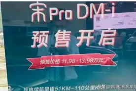 比亚迪要杀疯了？宋Pro DM-i预售价或11.98万起图片