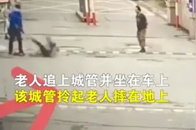 有人当街抱摔卖菜老人，有人为拾荒老人挑废品，街头这一幕，感动图片