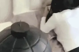 搞笑GIF：一瓶啤酒引发的爆炸图片