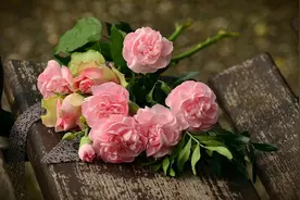 和心目中的女神恋爱其实并不费力，学会这些技巧，就能成功追上她图片