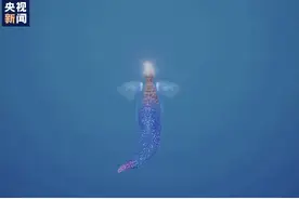 奇幻灯光秀、“天使”“魔鬼”并存 身临其境体验浅海奇缘图片
