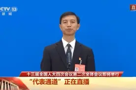 代表通道丨啥是创新？张金海：就是能够解决实际工作中的难题图片