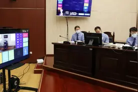 走私绿鬣蜥平原巨蜥等珍贵动物108只 男子获刑16年图片