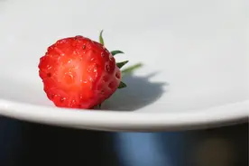 一颗草莓的成长历程.图片
