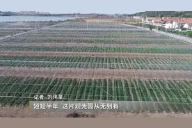 威海市乡村振兴工作现场观摩：泊于现代农业观光生态园图片
