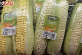 网传“不良商家用药水浸泡玉米”？玉米还能不能吃？图片